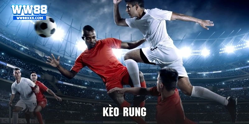 3 dạng kèo rung được chơi nhiều nhất năm 2025