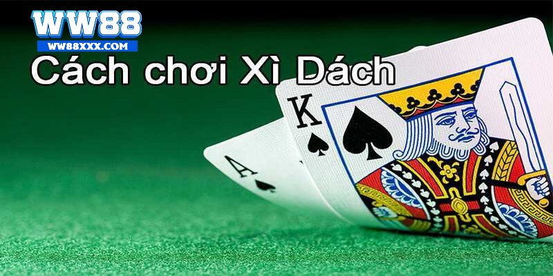 Các thuật ngữ trong bài xì dách là gì