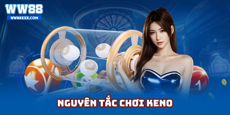 Hội viên nắm vững nguyên tắc tham gia cơ bản của loại hình này