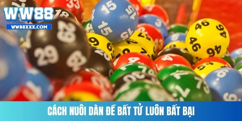 Cách nuôi dàn đề bất tử luôn bất bại