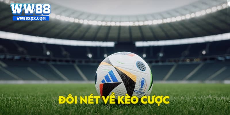 Thông tin tổng quan chung về kèo tài xỉu bóng đá