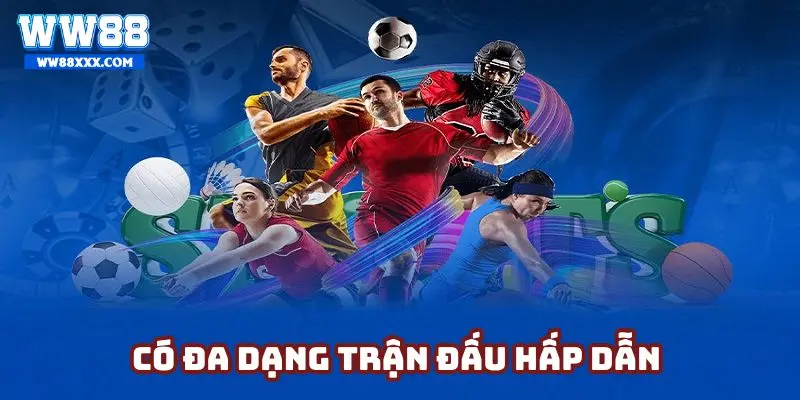 Đơn vị cung cấp hàng nghìn trận đấu mỗi ngày để phục vụ khách hàng