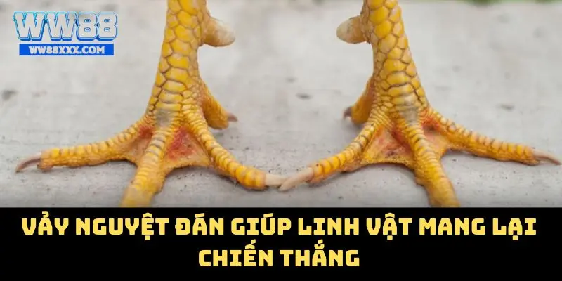 Vảy nguyệt đán giúp linh vật mang lại chiến thắng
